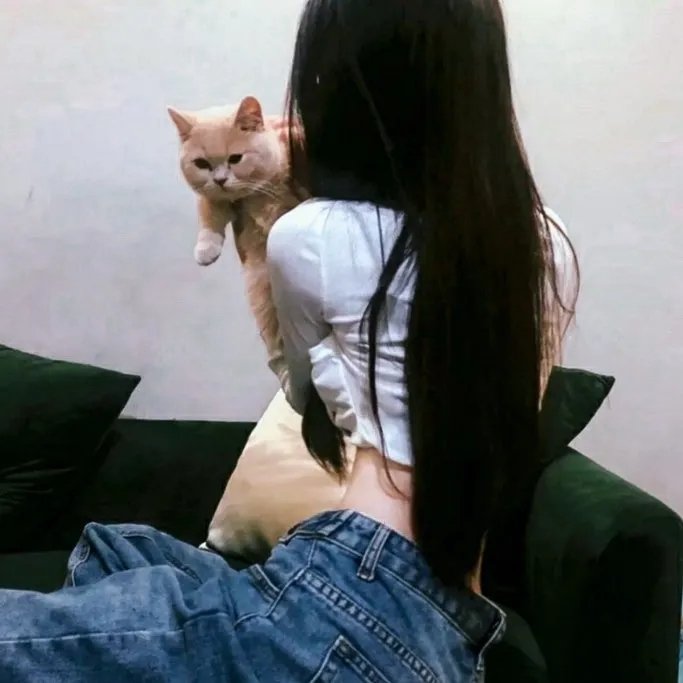 抛妻奇谈2海报